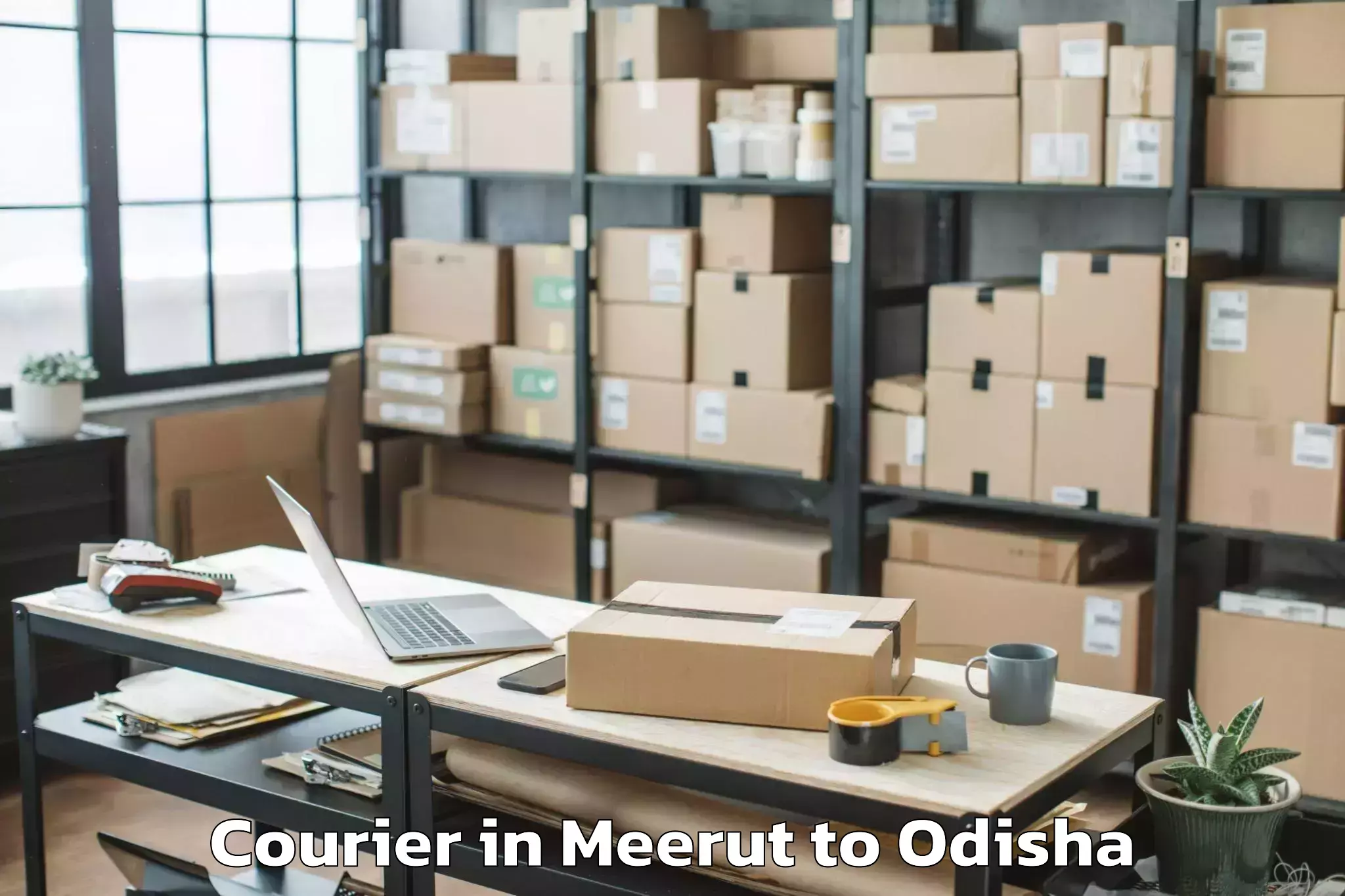 Trusted Meerut to Jharpokharia Courier